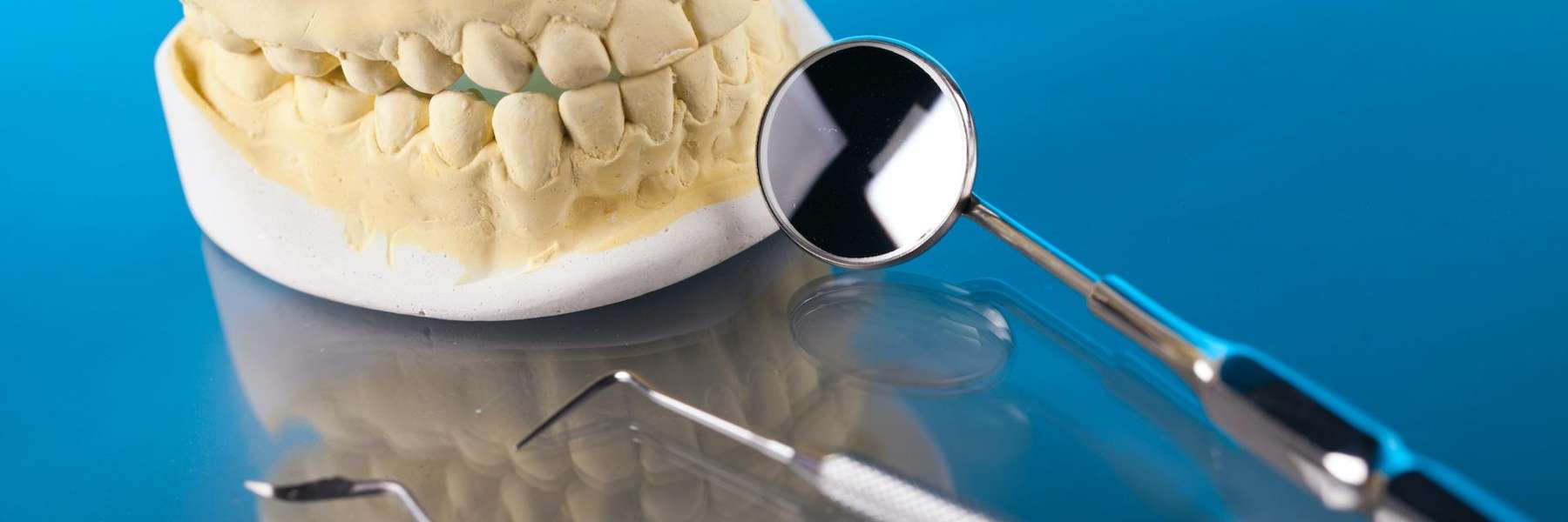 Jaw Model