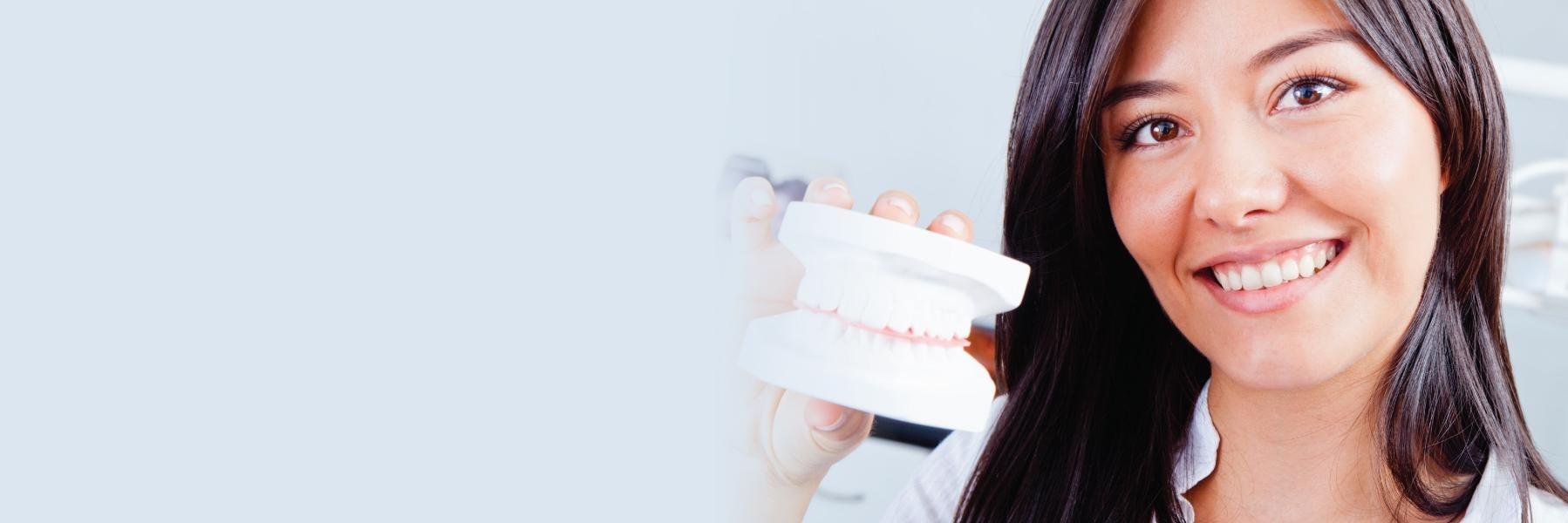 Woman holding model of teeth at dentist office in Apex NC